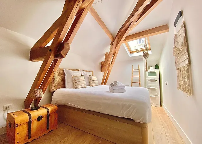 Bioves En Duplex-climatisation-centre Ville-plage *